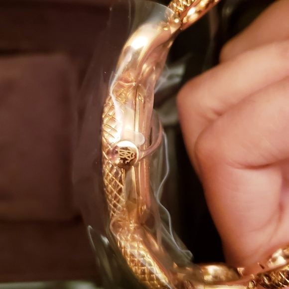 Roberto Cavalli by Franck Muller Womans Snake Bracelet Watch ( RV2L018M0031 ) - Picture 7 of 10